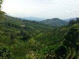 The view from Finca Los Ángeles.